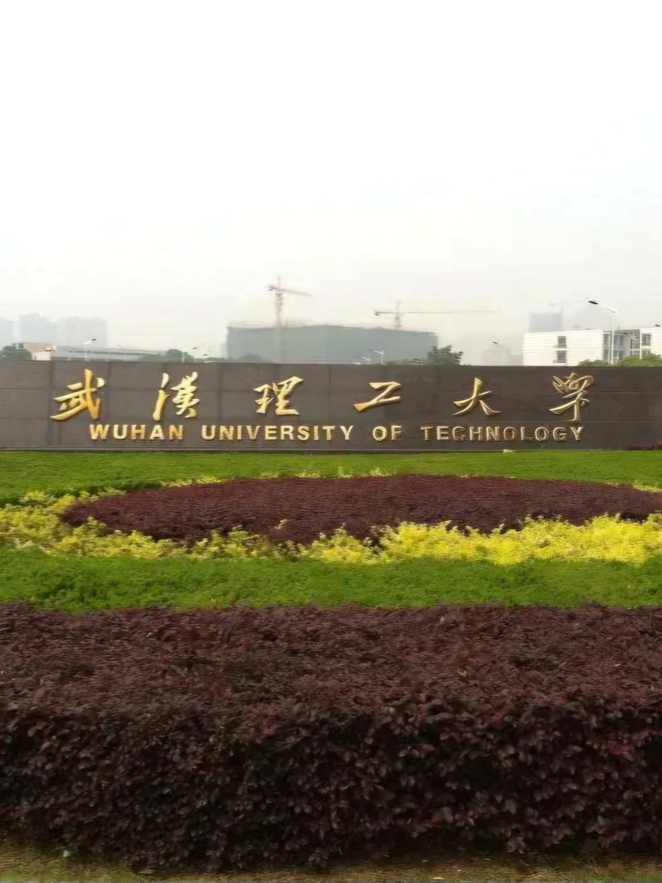 武汉理工大学综合信息网