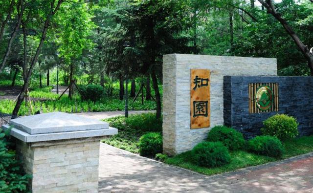 东北林业大学录取分数线2024