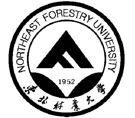 东北林业大学录取分数线2024