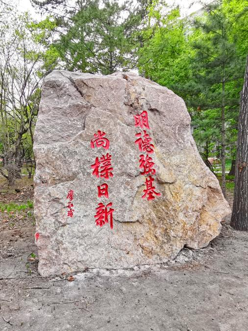 东北林业大学含金量高吗