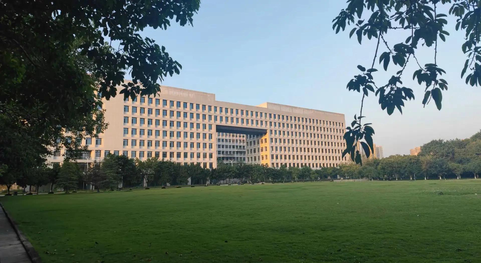 重庆大学王牌专业